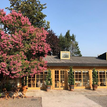 Hotel Argomedo San Fernando Dış mekan fotoğraf