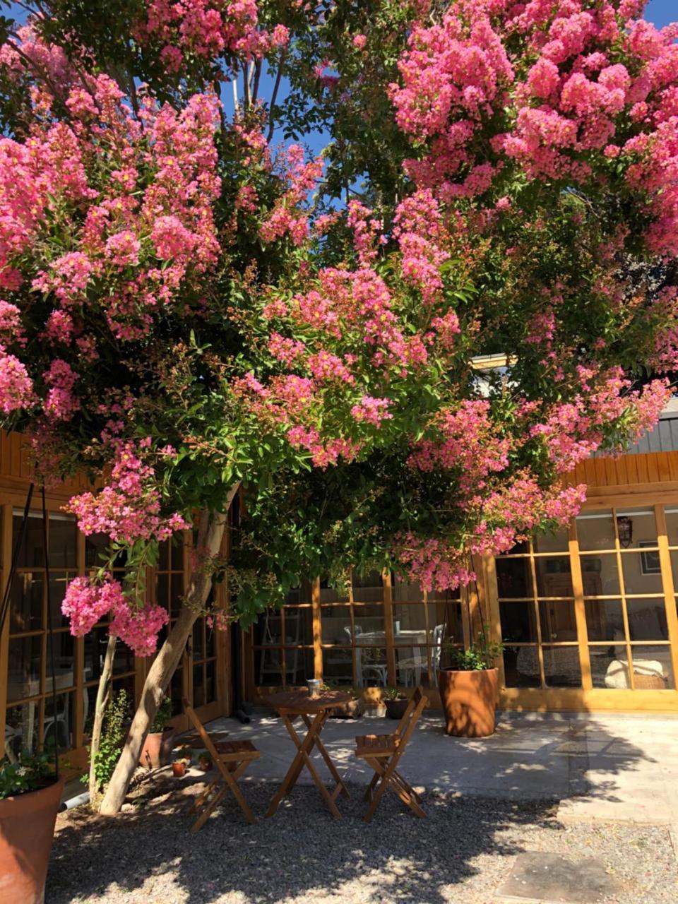 Hotel Argomedo San Fernando Dış mekan fotoğraf